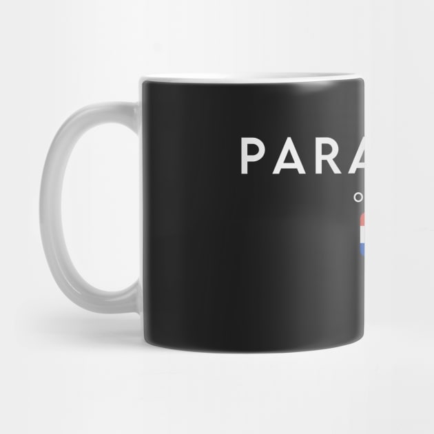 Paraguay flag, paraguayan flag by eka123